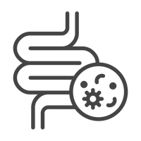 Microflora intestinal normal